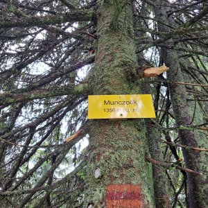 Horalka Anička na vrcholu Munczolik/Trup (25.6.2023)