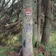 Milda na vrcholu Munczolik/Trup