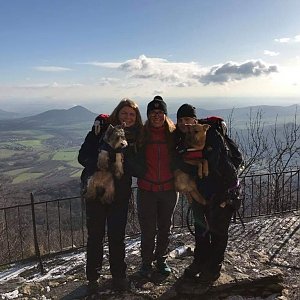 Pája na vrcholu Milešovka (30.11.2019 12:00)