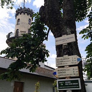 Petr T. na vrcholu Milešovka (17.6.2020 12:27)