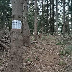 Milda na vrcholu Kotarnica (1.10.2024 18:04)