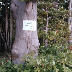 Milda na vrcholu Lazy (1.10.2024 18:21)