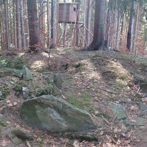 PA!WELL on the summit of Jastřáb (8.3.2025 11:22)