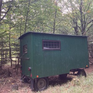 Mertelici na tripu na vrcholu Prostřední kopec (1.10.2023 10:56)