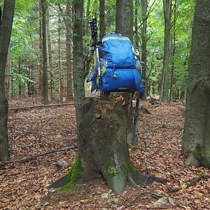 Jiřina na vrcholu Prostřední kopec (22.8.2021 12:27)