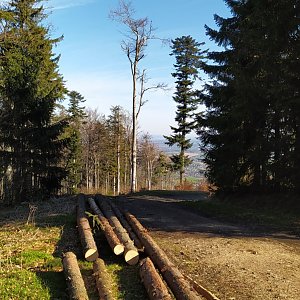 Gregořicovi na vrcholu Tanečnice (Malenovice) (9.5.2021 8:00)