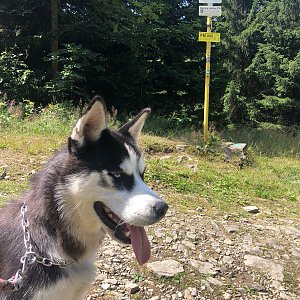 Adéla Elblová on the summit of Kykulka (31.7.2021 15:05)