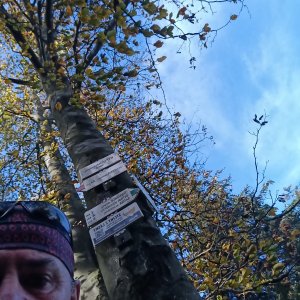 Li Be on the summit of Kykulka (21.10.2026 12:24)