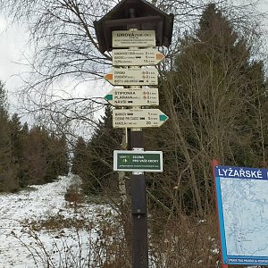 Perry na vrcholu Girová 