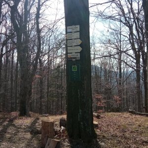 Edit on the summit of Godula (15.3.2026 12:20)