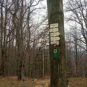 Edit on the summit of Godula (12.4.2026 16:08)