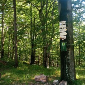 Edit on the summit of Godula (30.5.2026 16:11)