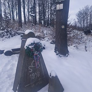 Josef Hájek na vrcholu Godula (28.1.2021 12:00)