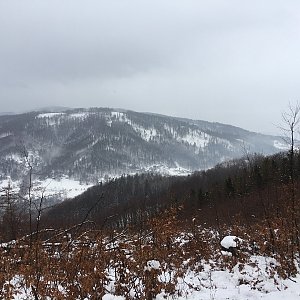 Tereza na vrcholu Godula (17.2.2021 8:24)