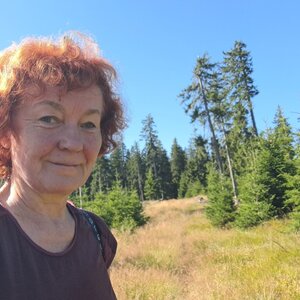 Horalka Anička na vrcholu Basumský hřeben (11.8.2024 9:33)