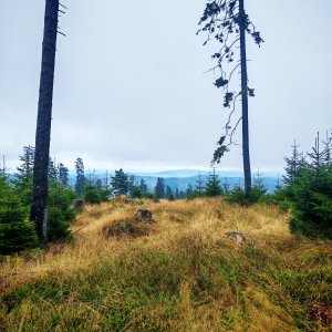 Šárka na vrcholu Basumský hřeben (15.9.2025 14:21)