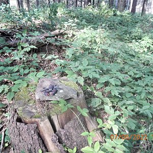 PA!WELL na vrcholu Krkostěna - Z vrchol (7.8.2022 16:16)