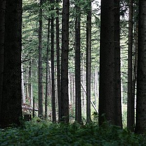 Bouřka na vrcholu Krkostěna - Z vrchol (27.8.2021 15:24)