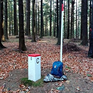 Jiřina na vrcholu Oselná - J vrchol (15.11.2021 11:45)