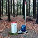 Jiřina na vrcholu Oselná - J vrchol (15.11.2021 11:45)