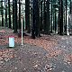 Jiřina na vrcholu Oselná - J vrchol (15.11.2021 11:45)