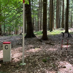 Radka D na vrcholu Oselná J (7.7.2023 11:37)