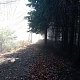 Jiřina na vrcholu Beskydek - J vrchol (15.11.2021 10:50)
