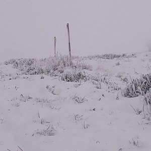 VěrkaN on the summit of Na Hrobcích (18.12.2022 7:53)