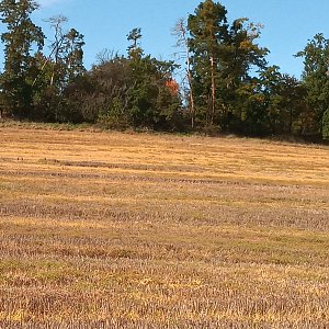 VěrkaN na vrcholu Malý vršek (9.10.2022 13:40)