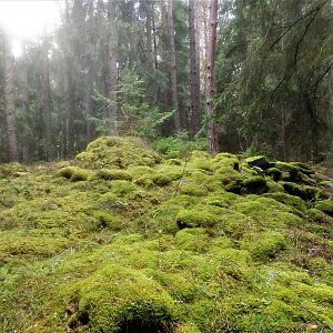 Vladimír Grančay na vrcholu Ve Vrších (5.5.2022 16:44)