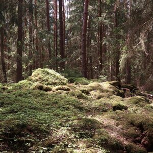 Bouřka na vrcholu Ve Vrších (28.4.2024 13:55)