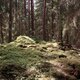 Bouřka na vrcholu Ve Vrších (28.4.2024 13:55)