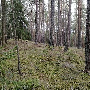 Vladimír Grančay na vrcholu Vráže (20.2.2022 16:25)