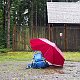 Jiřina na vrcholu Větrný vrch (29.8.2021 17:00)