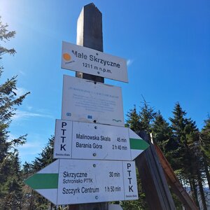 Horalka Anička na vrcholu Małe Skrzyczne (1.5.2024 9:50)