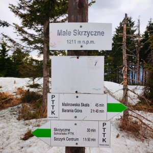 Šárka na vrcholu Małe Skrzyczne (15.3.2026 14:00)