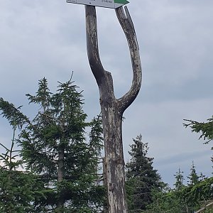 IG na vrcholu Małe Skrzyczne (25.7.2021 9:46)