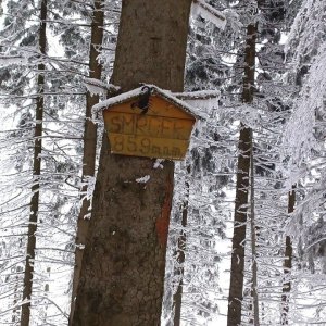 PA!WELL on the summit of Smrček (1.2.2026 10:49)