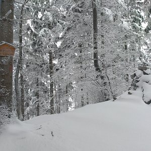 Veronika Chmielová na vrcholu Smrček (16.1.2021 11:15)