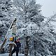 Evík na vrcholu Súľov (29.1.2021 13:28)