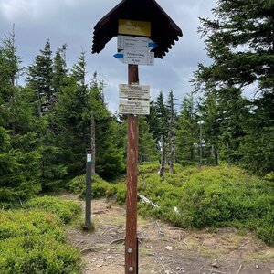 Betička na vrcholu Tabule (11.8.2024 11:32)