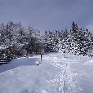 Josef Hájek na vrcholu Ropička (28.1.2021 13:35)