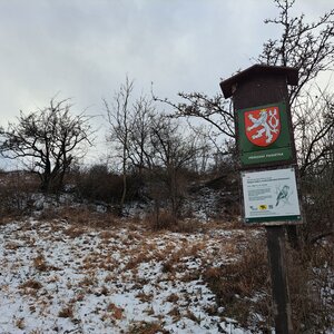 Horalka Anička on the summit of Růžový vrch (13.1.2024)