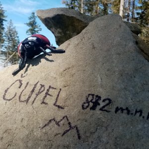 Jiřina na vrcholu Čupel (5.4.2026 12:29)