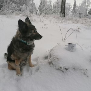 Michaela Hilscherová na vrcholu Prašivá (21.12.2021 12:51)