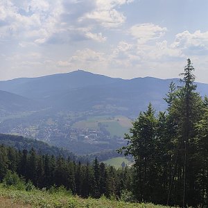 Lili na vrcholu Prašivá (30.6.2022 10:52)