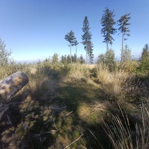 Li Be on the summit of Prašivá (16.10.2026 12:53)