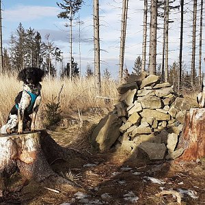 Čaky na vrcholu Prašivá (3.1.2021 12:46)