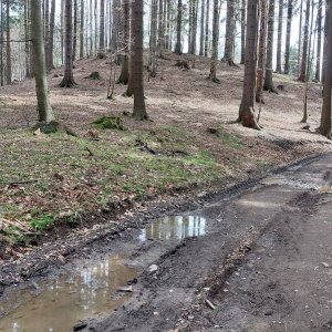 Mykas on the summit of Polana (21.4.2025 13:59)