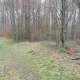 Mykas na vrcholu Gutský vršek